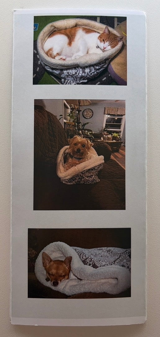 Pet Pocket Cozy Bed for Dogs & Cats